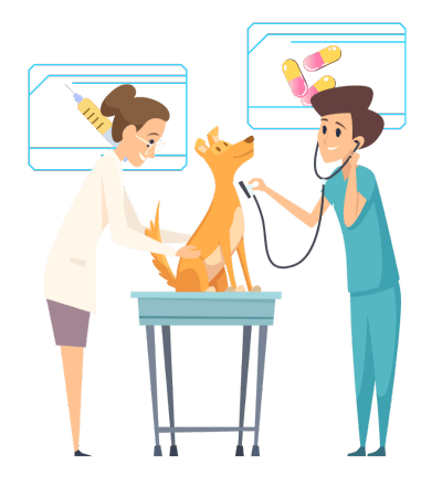 software para veterinarios