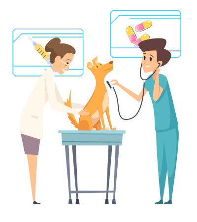 software para veterinarios software para veterinarios